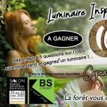 Mobilier en copeaux de bois INSPIRATION