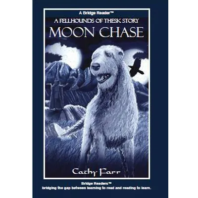 Moon Chase, Bridge Reader
