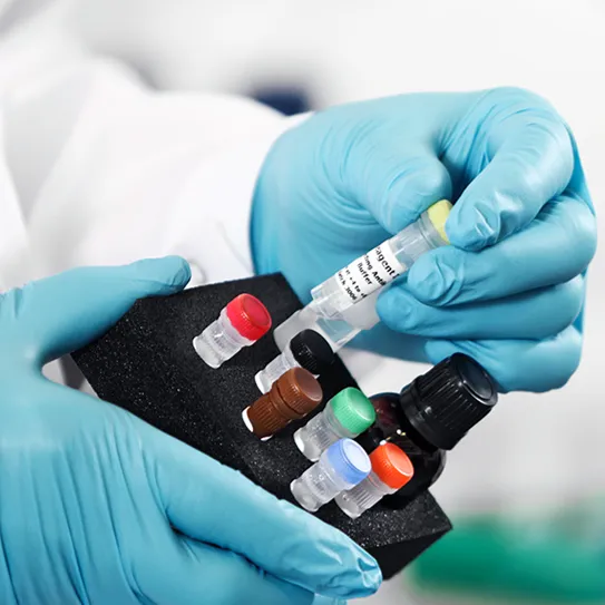 Gyrolab PK/TK Solutions