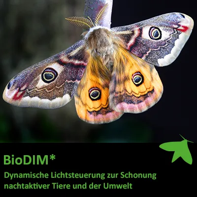 Produkte mit BioDIM* | Dynamische Lichtsteuerung zur Schonung nachtaktiver Tier und der Umwelt