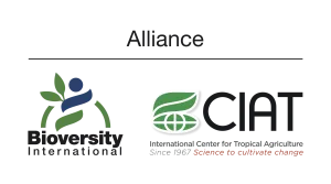 Alliance of Bioversity and CIAT