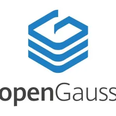 openGauss