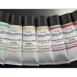 CAS AlkydPro fast dry Alkyd paints Solvent Free