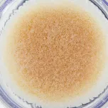 Hollow Fiber Hemodialyzer