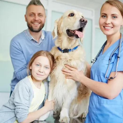 On-line Learning- Veterinary Professional Mastery Course for your vets