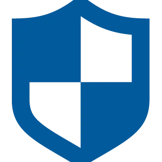 Audit Representation