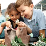 Large Play Tree Stump