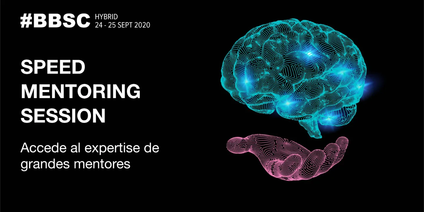 Speed Mentoring Session
