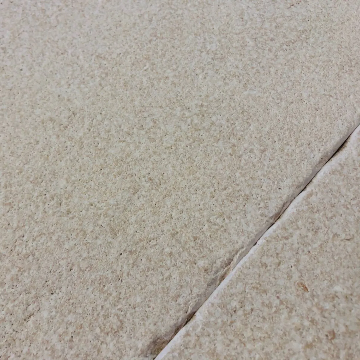 Moca Fossil Provence