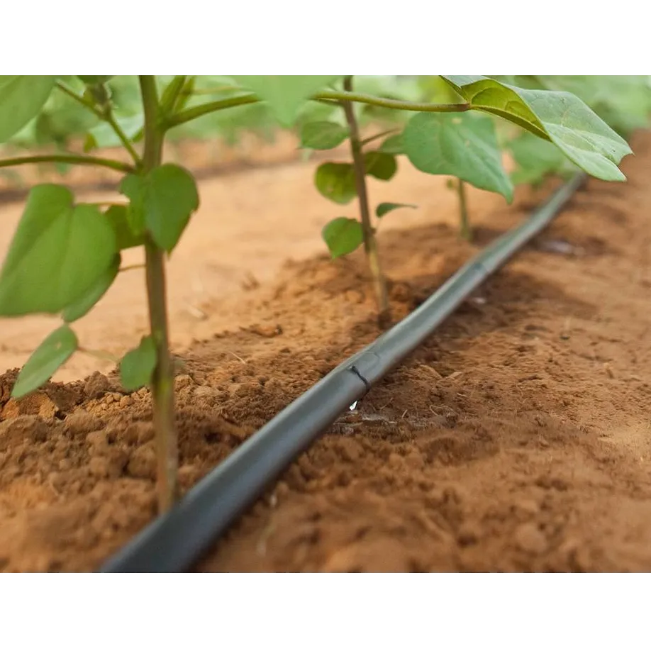 Matériel de micro-irrigation