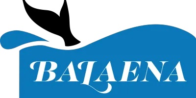 Balaena H20, LLC