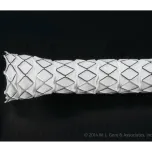 GORE® VIABAHN® VBX Balloon Expandable Endoprosthesis