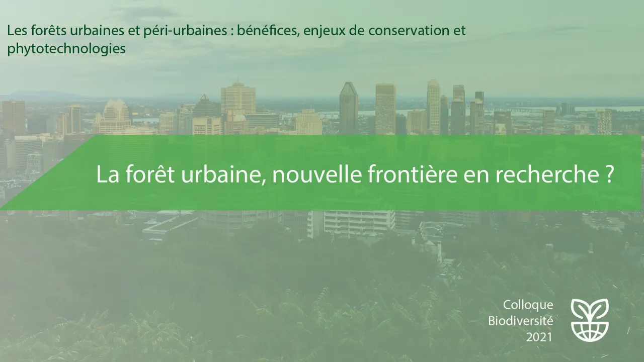 La forêt urbaine, nouvelle frontière en recherche ?