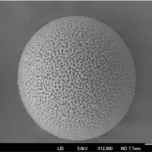 Spherical type silica particle for analytical column