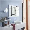 LED illuminated mirror cabinet Evo