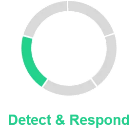 Detect & Respond