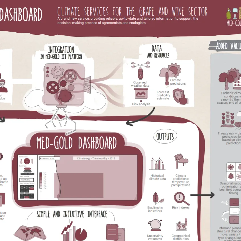 Infographic - MED-GOLD dashboard for the grape and wine sector