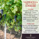 DOMINI VENETI VALPOLICELLA DOC CLASSICO SUPERIORE