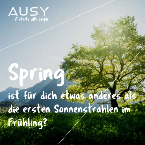 🚀 Lead Developer / Software Architect (m/w/d)