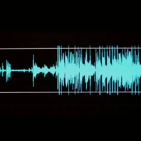 Embedded TTS (Text-to-Speech) SDK