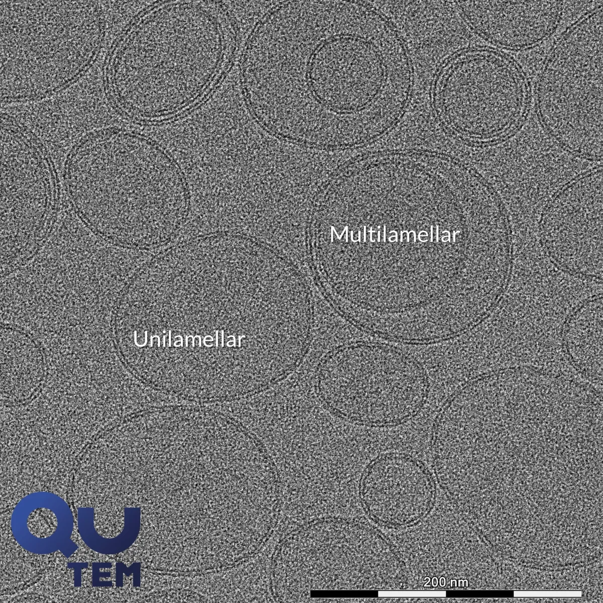 QuTEM - Liposomal drug analysis