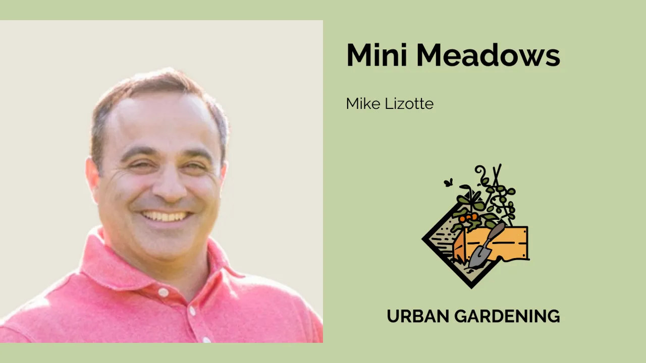 Mini Meadows with Mike Lizotte