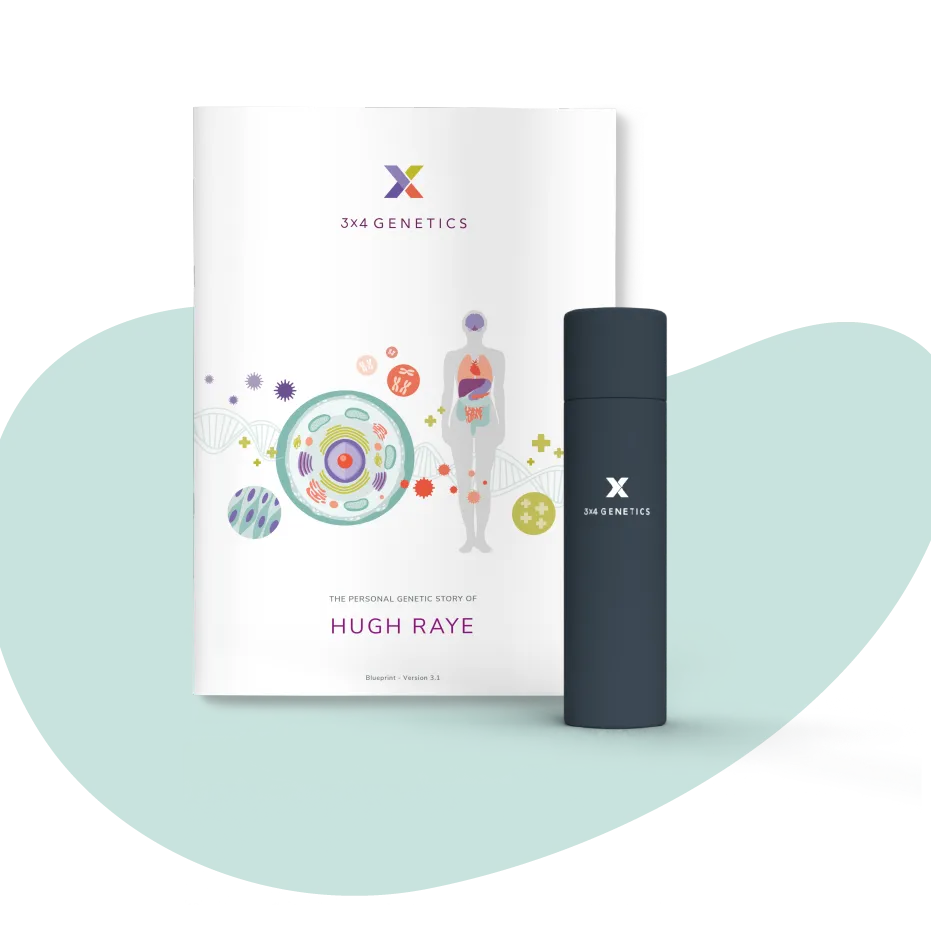 3X4 Test + Blueprint Report