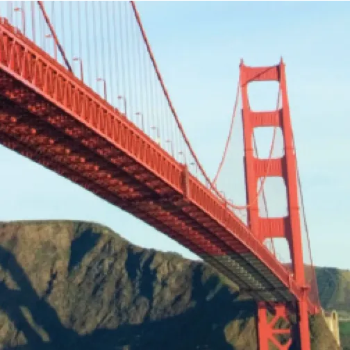 Tools for Golden Gate Assembly