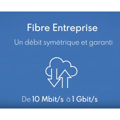 Fibre Entreprise