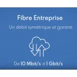 Fibre Entreprise