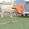 Jug Waterers and Mineral Feeders get a quote and enter coupon code AG2020 for $40 off during the show
