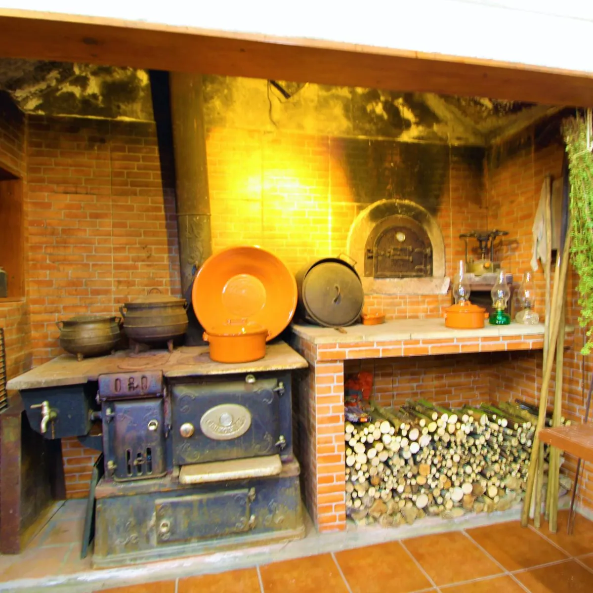 Rustic land with agricultural support house