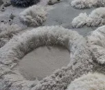 FULL MOON by Portuguese Artist Vanessa Barragão