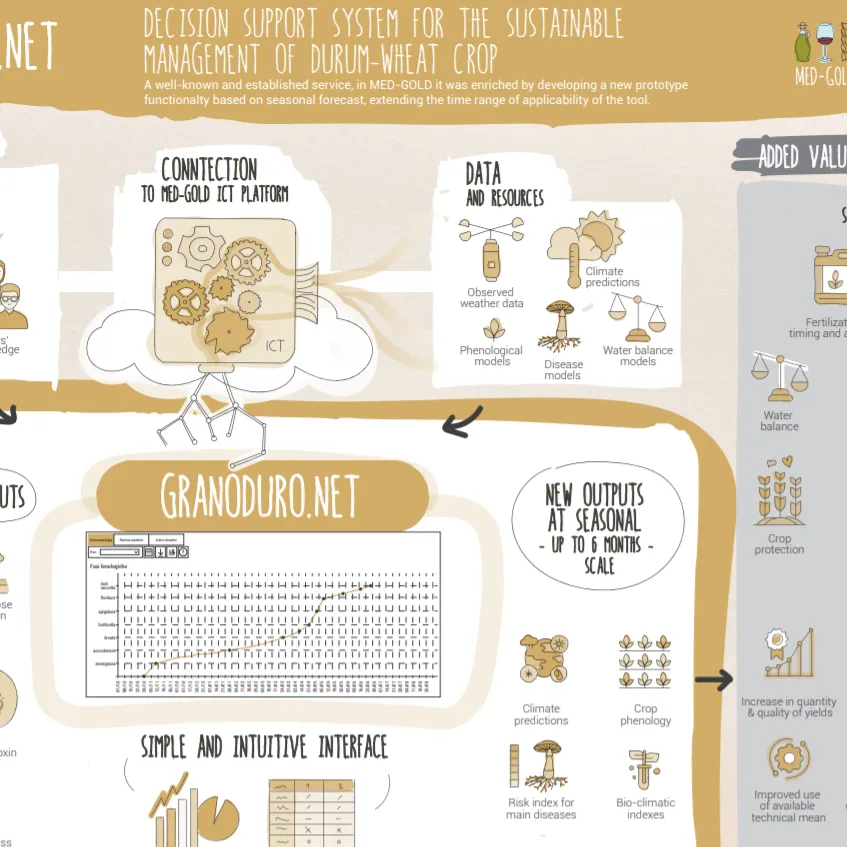 Infographic - Granoduro.net