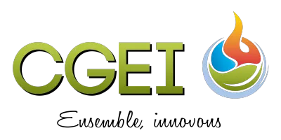 CGEI inc.