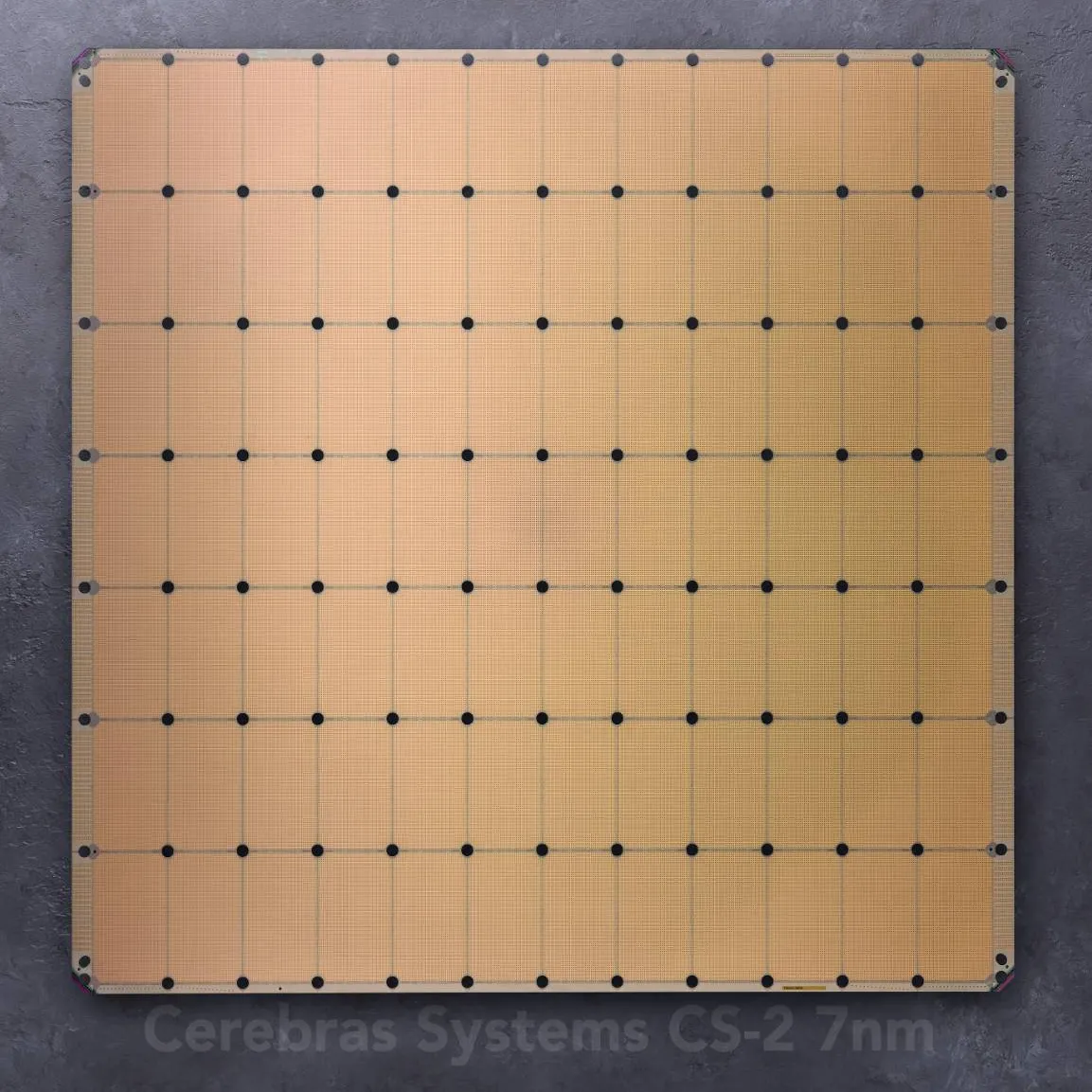 Wafer-Scale Engine 2 (WSE-2)