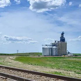 Licensing grain companies