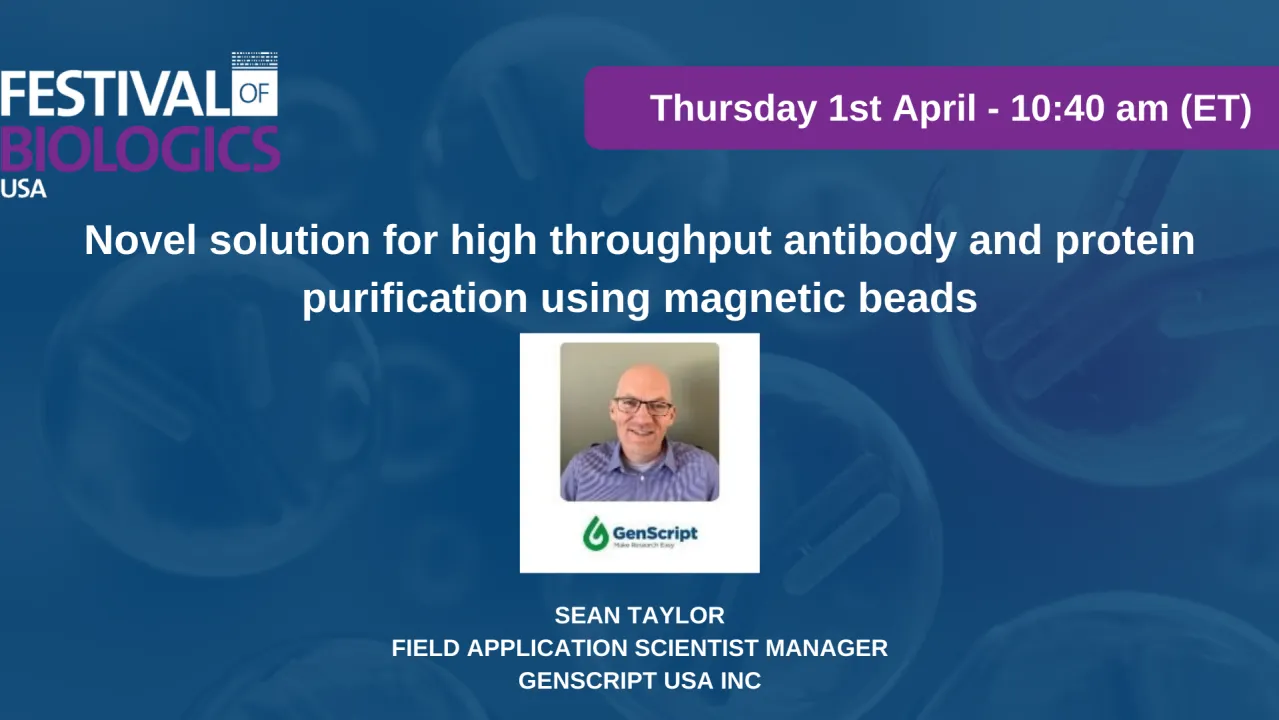 Novel solution for high throughput antibody and protein purification using magnetic beads