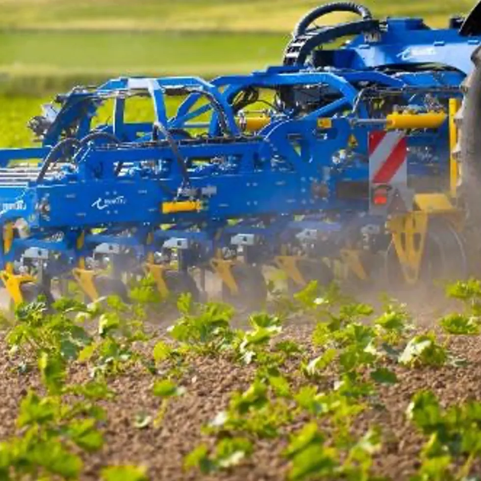 Bineuse de précision THP TREFFLER