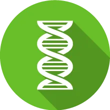 Scientific Technology Advisory