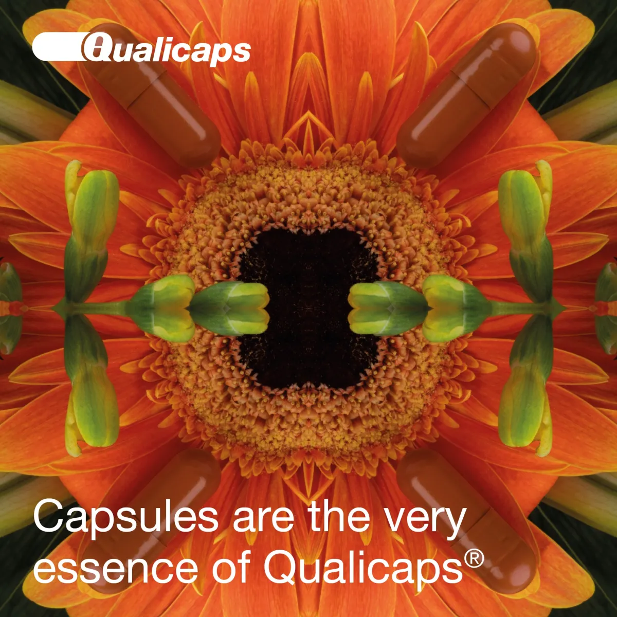 Qualicaps(R) Consumer Healthcare capsules portfolio