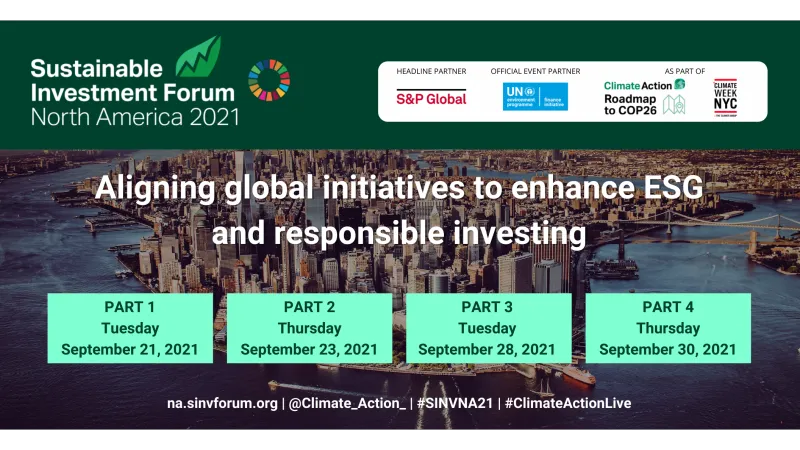 Virtual Panel Debate - Benefits and short comings of forward scenario risk analysis- a holistic approach to strategy and impact assessment?