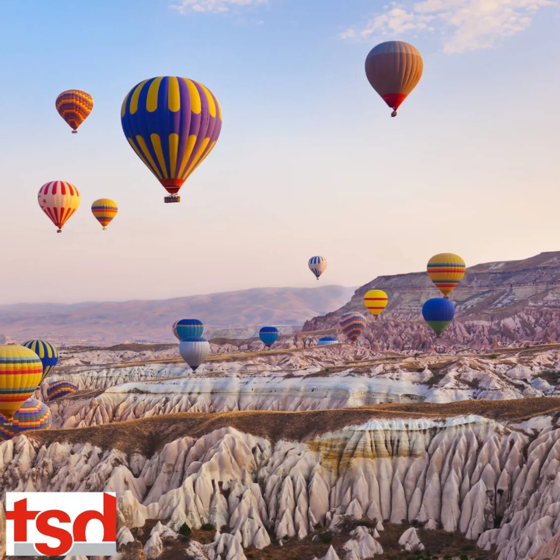 English Native Speaker