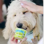 The Bear & The Rat Frozen Yogurt Dog Treat