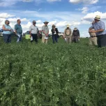 Growing Projects and Community Events