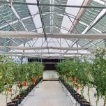 Coatema Agrivoltaics