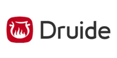 Druide informatique
