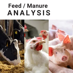 Manure / Feed Testing