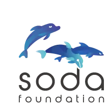 SODA Foundation