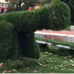 Associate Diploma Programs